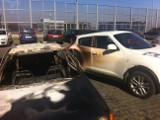 Kraków: spalone auta przy ul. Bobrzyńskiego. Policja bada sprawę [ZDJĘCIA, WIDEO]