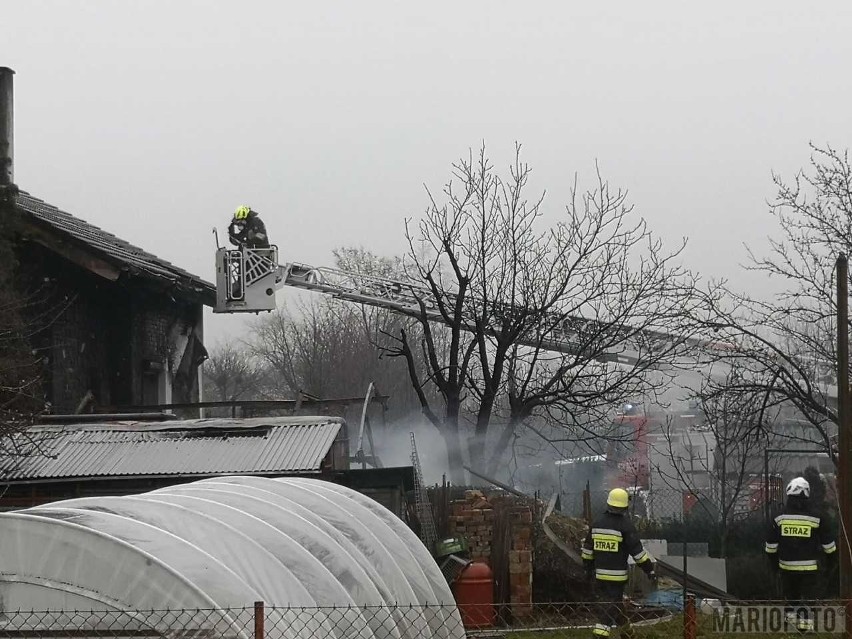 Pożar w Zielęcicach koło Brzegu. Paliła się altana i drewniany barakowóz. Nie ma poszkodowanych