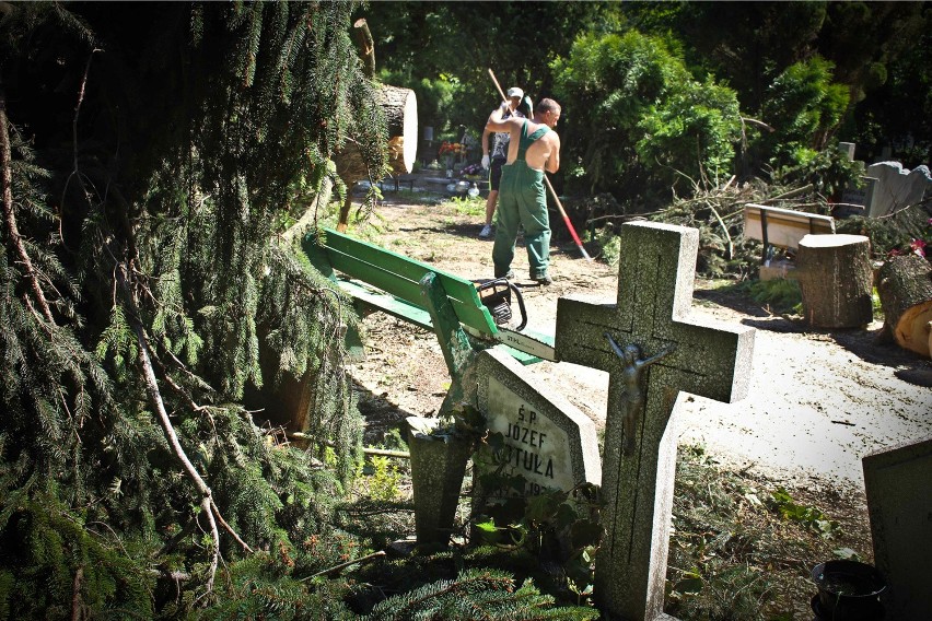 Cmentarz Grabiszyński znów będzie otwarty