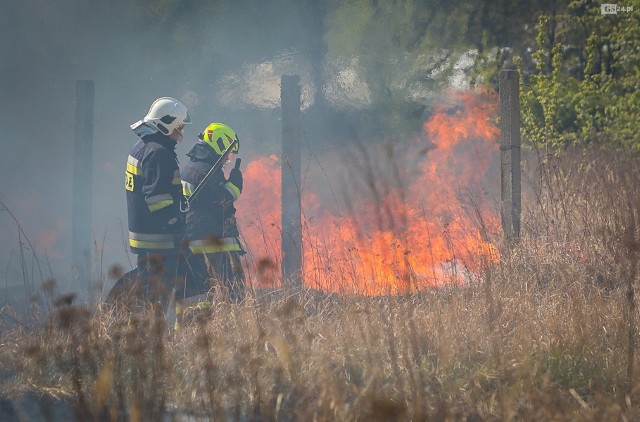 Akcja straży pożarnej na ul. Turkusowej. Pożar traw