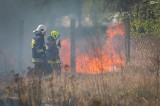 Pożar traw na prawobrzeżu przy ul. Turkusowej. Zdjęcia z akcji straży pożarnej 