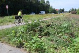 Trwają prace przy rozbudowie wylotówki z Kielc. Rozpoczęła się gigantyczna wycinka drzew i krzewów