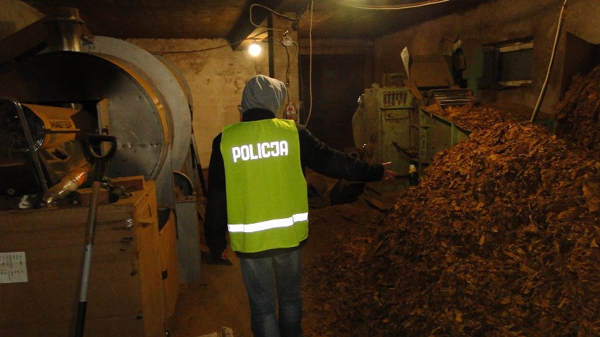 Nielegalna fabryka tytoniu pod Łaskiem. Zabezpieczono ponad 8,5 tony tytoniu [ZDJĘCIA,FILM]