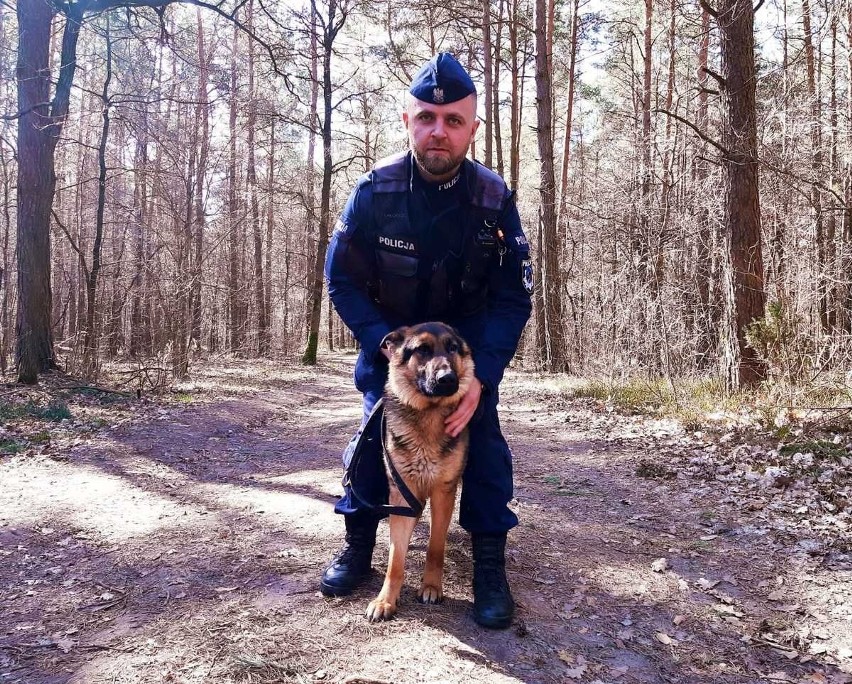Nowy czworonożny funkcjonariusz w wysokomazowieckiej policji. Pies wabi się Pilzner i ma być postrachem przestępców [ZDJĘCIA]