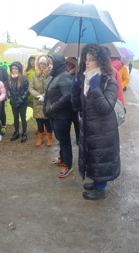 Wolontariusze, właściciele i aktywiści protestowali przed...