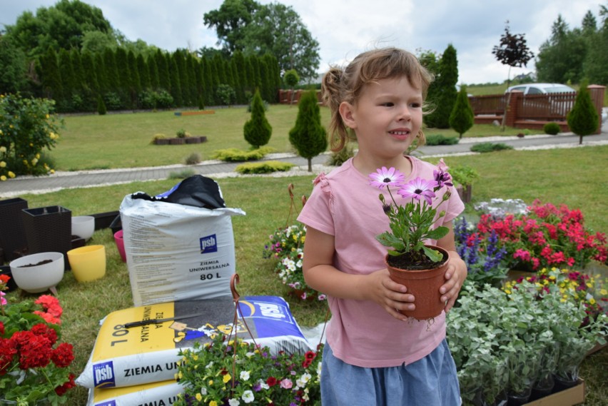 Kwiatowy prezent przyjechał do Domów dla Dzieci i Młodzieży w Łoniowie. Otoczenie czterech domków tonie w pięknych kwiatach