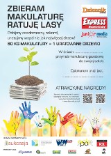 Uratowaliśmy 259 drzew - podsumowanie akcji "Zbieram makulaturę, ratuję lasy"