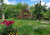 Kocmyrzów-Luborzyca. Są pasjonatami ogrodów. Laureatka konkursu ma 160 gatunków roślin i 21 odmian róż