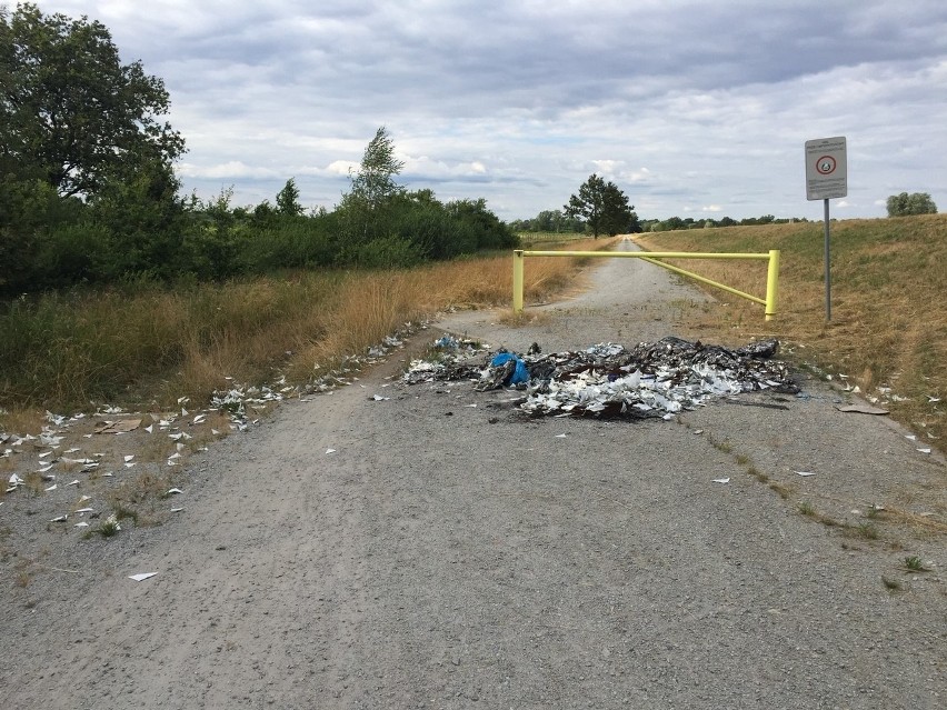 Na grobli Opatowickiej od maja leży góra śmieci. Kiedy...