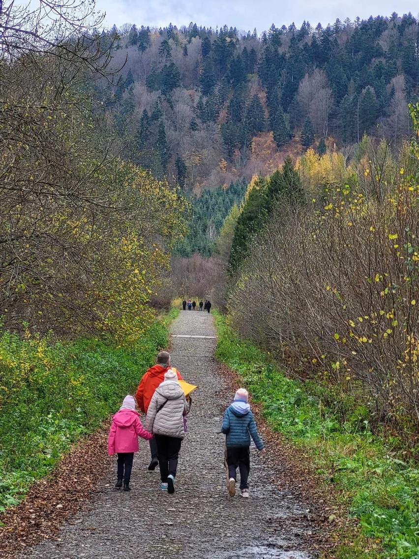 Jesienny spacer do rezerwatu przyrody Sine Wiry w Bieszczadach. Zobacz zdjęcia naszego Czytelnika 
