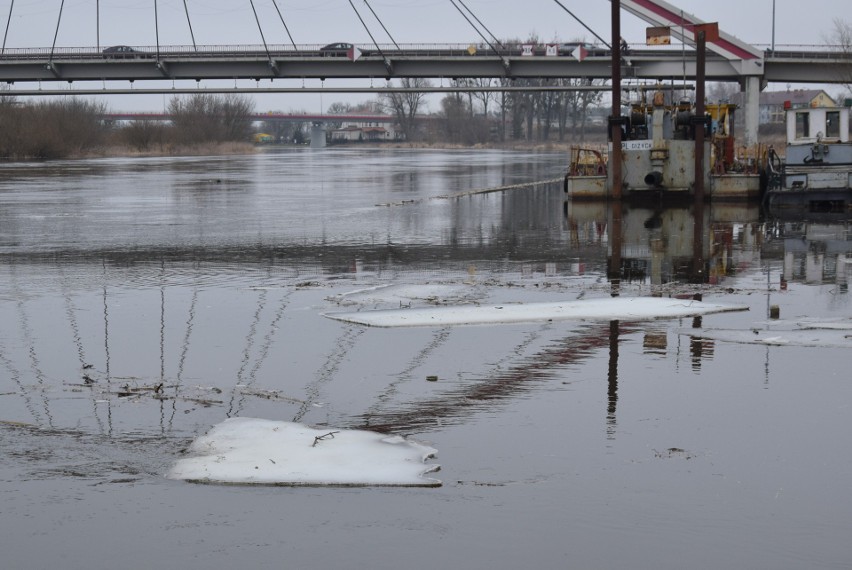 Poziom wody w Narwi, Omulwi i Bugu w regionie. Aktualna sytuacja hydrologiczna. 4.03.2021. Zdjęcia