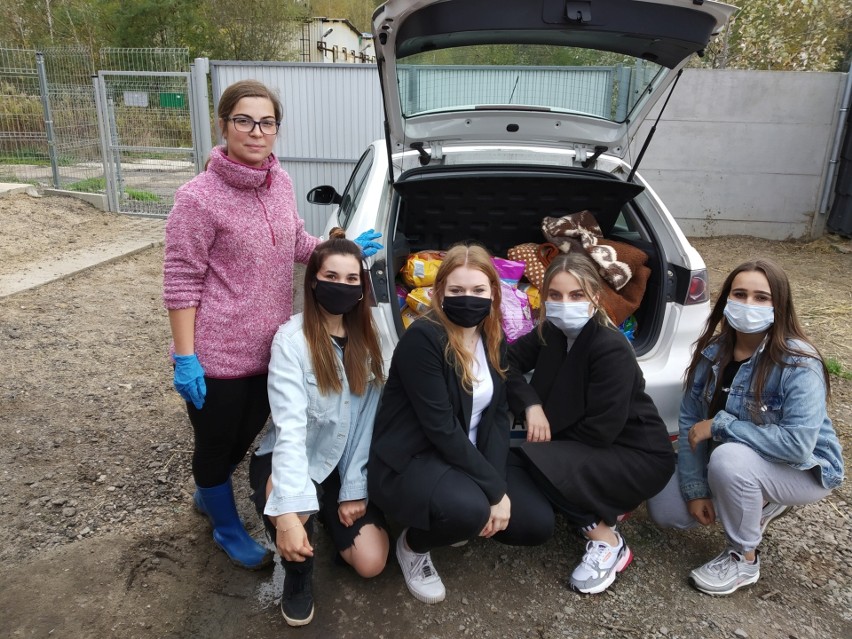 Uczniowie Liceum Ogólnoksztalcącego imienia Kopernika w Tarnobrzegu zorganizowali zbiórkę na rzecz schroniska dla zwierząt. Akcja się udała!