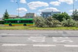 MPK Poznań: Autobusy linii 164 oraz 651 zmieniają trasy przejazdu od 14 listopada