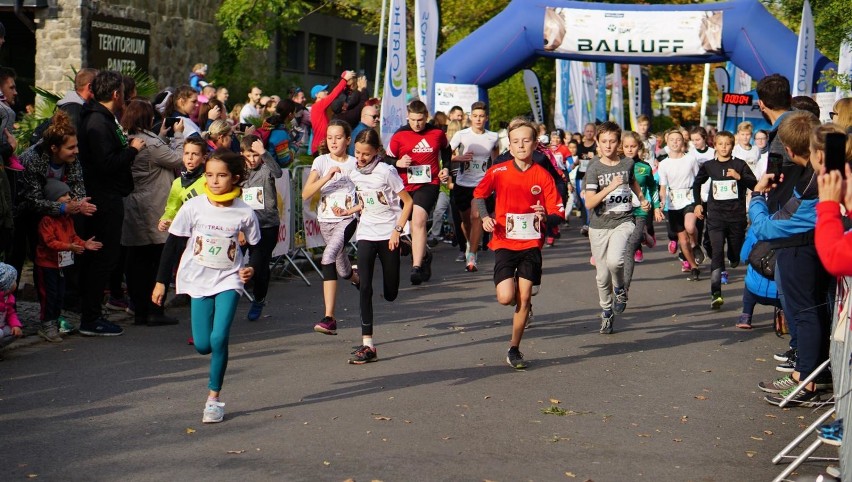 Wild Run 2019 we wrocławskim zoo