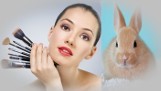 Chiny przestaną wymagać testowania kosmetyków na zwierzętach? „Wielki krok we właściwym kierunku”