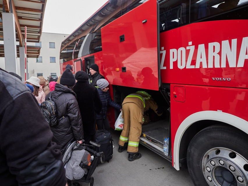 Podkarpaccy strażacy nieustannie pomagają uchodźcom z Ukrainy [ZDJĘCIA]