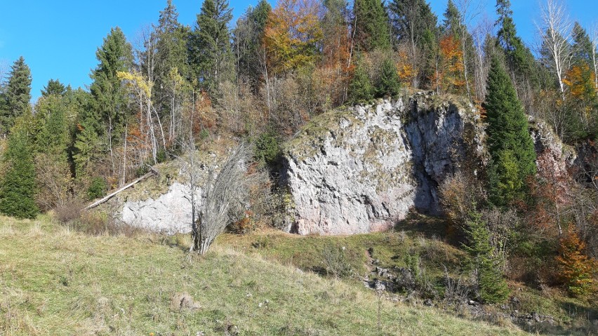 Jedno ze skalnych stanowisk w Pieninach.