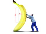 Prostowanie banana, czyli komu służą unijne absurdy