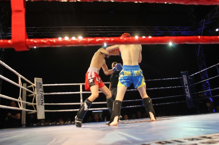 Głogowianie zdominowali Legion Fight Night [Zdjęcia Część 1]