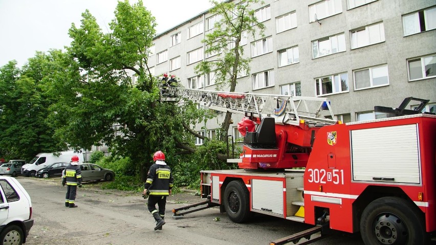 ALERT RCB dla Podkarpacia. 24 czerwca burze, silny wiatr, ulewny deszcz i lokalnie grad