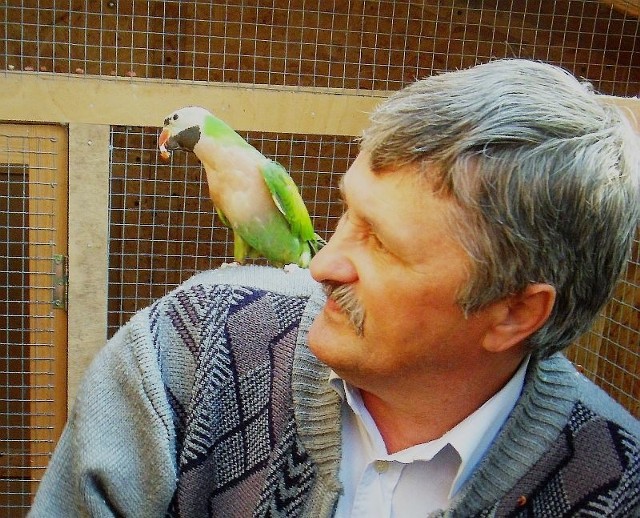 Ryszard Papke zajmuje się hodowlą ptaków egzotycznych od trzydziestu lat. - Dwóch moich wujów trzymało gołębie. A ja zacząłem od kanarków.