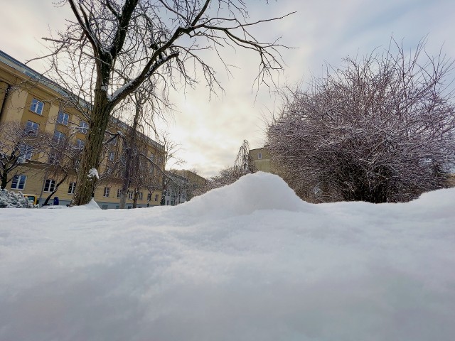 Śnieżyca w Częstochowie. Zima na razie nie zamierza odpuścić