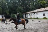 Wielka awantura w stadninie na Prądniku Czerwonym. Gdzie dwóch się bije, tam... ZZM każe opuścić teren 