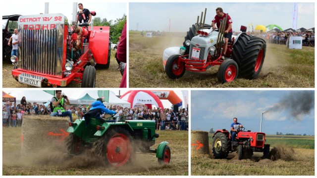 W Wielowsi już po raz siódmy zorganizowano Wyścigi Traktorów. Zawodnicy ścigali się na dystansie 1/4 mili. Musieli również pokonać trudny slalom. - Większość z nas ma gospodarstwa rolne. Organizacji tych zawodów poświęcamy tylko wolne chwile. Siedzimy po nocach, by wszystko ładnie zagrało - zdradza Marcin Nieznalski ze Stowarzyszenia Rozwoju Sołectwa Wielowieś, które zorganizowało te zawody wspólnie z Automobilklubem Toruńskim oraz firmą Grene. Rywalizację 46 traktorzystów oklaskiwało kilka tysięcy kibiców. WynikiW kategorii ciągników zabytkowych:1. Jacek Gaj ze Środy Wielkopolskiej2. Hubert Kacprzak z Rycerzewka3. Bartosz Jagodziński z RycerzewkaUrsus C 45:1. Rafał Staniszewski z Łagiewnik Kościelnych2. Darek Kropidłowski z miejscowości Owieczki3. Krzysztof Ziemnicki z RycerzewkaUrsus C 330:1. Robert Hulisz z Radłowa2. Dariusz Nowak3. Rafał Koniasz z WielowsiDo 80 KM:1. Mariusz Mierzwicki z Wielowsi k. Gniewkowa2. Paweł Kubasik z Wierzejewic3. Adam Nieznalski z KościelcaPowyżej 80 KM:1. Michał Szewczak z Janikowa2. Stanisław Michalak z Aleksandrowa3. Szymon Książek z TurlejewaNagrodę "Czarnego Konia" otrzymał Bronisław Barczykowski spod Pniew. Aż 6 godzin jechał ciągnikiem, by wziąć udział w zawodach w Wielowsi. Za to go właśnie wyróżniono.