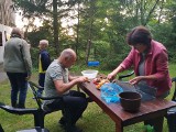 Są już pierwsze grzyby w regionie łódzkim, a wkrótce będzie ich jeszcze więcej. Gdzie wybrać się na grzyby blisko Łodzi?