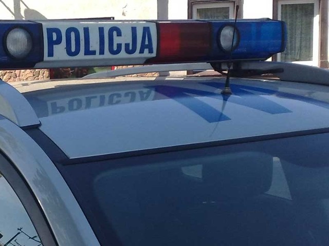 Policjanci otrzymali wczoraj informację o tym, że pies zaatakował dziecko na podwórku przy ul. Krzywoustego w Szczecinie.