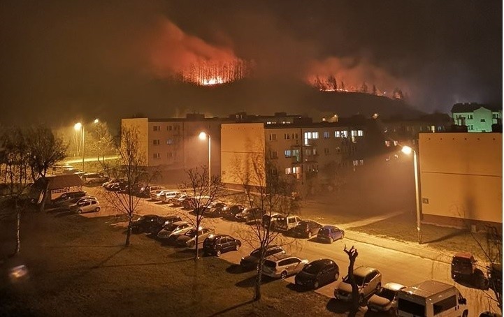 Wielki pożar traw i lasu w Pińczowie. Walczyło z nim aż 11 zastępów strażaków! [ZDJĘCIA]