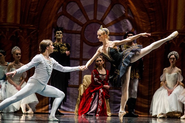 „Jezioro łabędzie” w wykonaniu The Royal Moscow Ballet