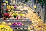 Cmentarz komunalny a cmentarz parafialny – czy wiesz, czym się różnią? Czy każdy może być pochowany na cmentarzu wyznaniowym?
