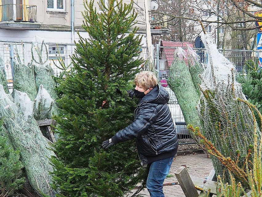 - Na razie chodzę, oglądam, zastanawiam się - uśmiecha się...