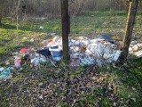 Wstydźcie się, śmieciarze - co wyrzucają słupszczanie na drogach między działkami (zdjęcia)