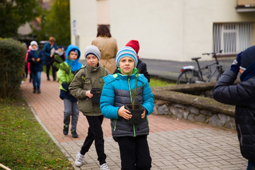 Społecznicy i uczniowie podstawówki sadzili wczoraj...