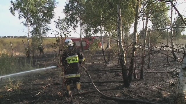 W akcji brało udział 15 zastępów straży pożarnej oraz śmigłowiec.