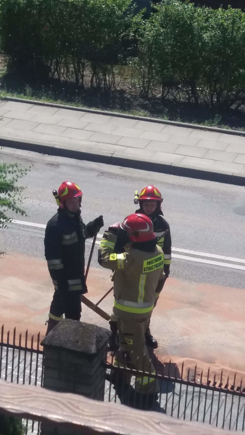 Proszowice. Strażacy usuwali olej rozlany na ulicy Kościuszki