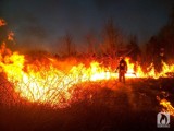 Seria pożarów nieużytków w gminie Wręczyca Wielka. Podpalacz wciąż nieuchwytny 