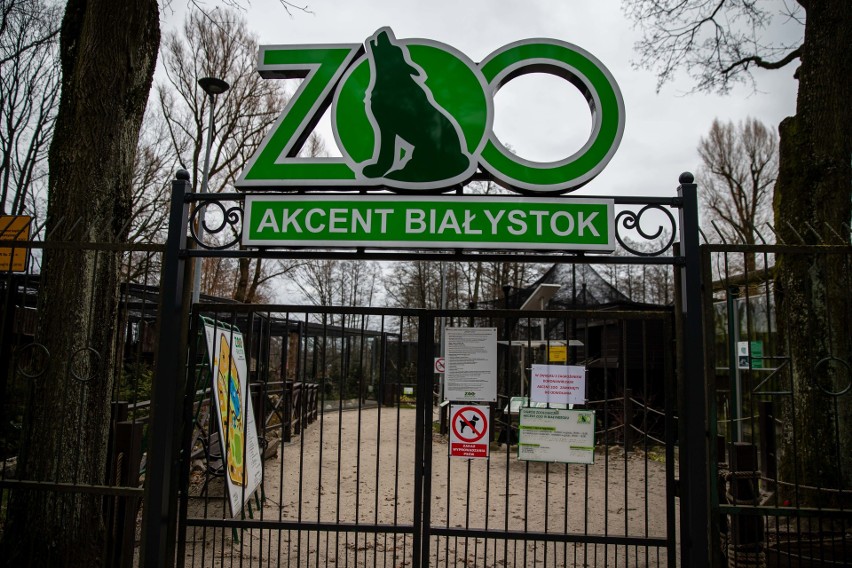 Białystok. Zamknięte Planty i Akcent Zoo. Las Zwierzyniecki na razie otwarty [ZDJĘCIA]