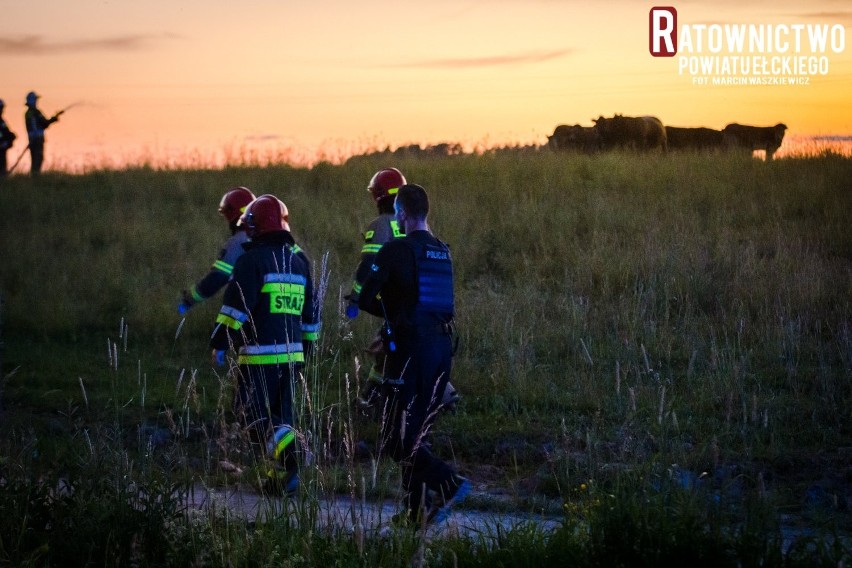 Orzechowo. Mężczyzna został stratowany przez bydło. Zginął na miejscu