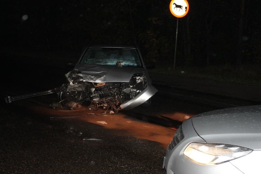 Dąbrowa Górnicza: śmiertelny wypadek na S1. Nie żyje 57-letni mężczyzna [ZDJĘCIA]