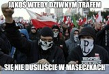 "Straż Narodowa" ma bronić kościołów. Narodowcy znów szokują [MEMY]