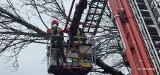 Koszalińscy strażacy kończą walkę ze skutkami weekendowej wichury  [ZDJĘCIA]