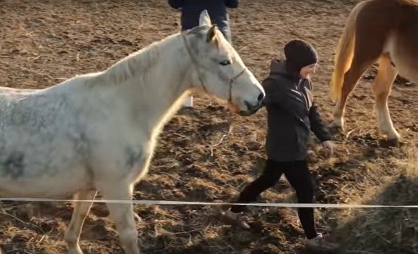 Poznaj Ranczo Laszki. Emilia Korolczuk pokazuje życie rolniczki z Podlasia na Youtubie