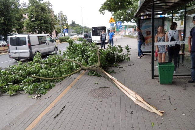 W nocy i rano w regionie dość silnie powiało.