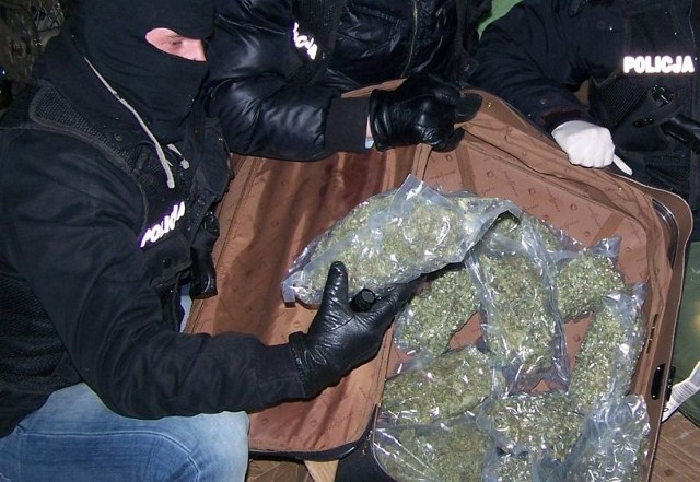 Policja zatrzymała 7 kilogramów narkotyków. Dilerzy wpadli podczas  transakcji. (zdjęcia, wideo) | Kurier Poranny