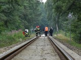 Śmiertelny wypadek w Chałupach. Pociąg potrącił mężczyznę [ZDJĘCIA]