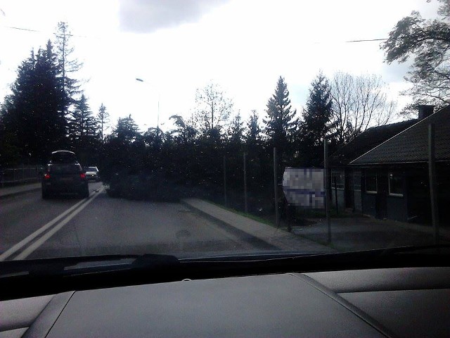 Przewrócone drzewo na jednej z rzeszowskich ulic. Zdjęcie otrzymaliśmy od Czytelnika.