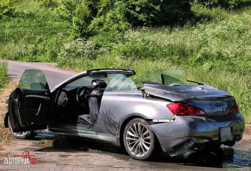 Kabriolet w stawie. "Na jezdnię wybiegł pies" [ZDJĘCIA]